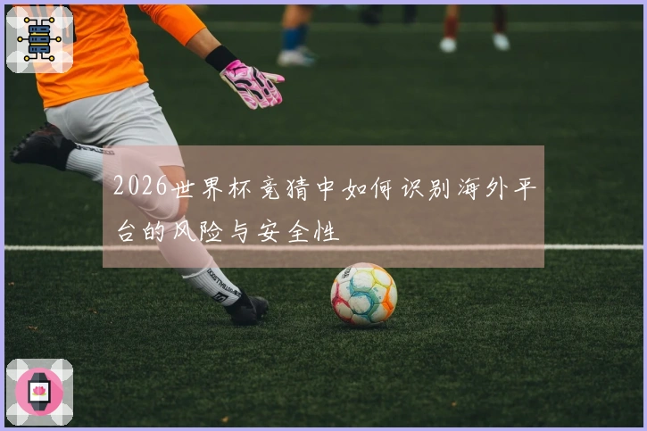 2026世界杯竞猜中如何识别海外平台的风险与安全性