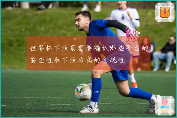 世界杯下注前需要确认哪些平台的安全性和下注方式的合规性