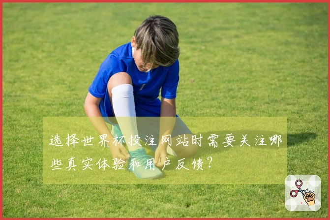 选择世界杯投注网站时需要关注哪些真实体验和用户反馈？