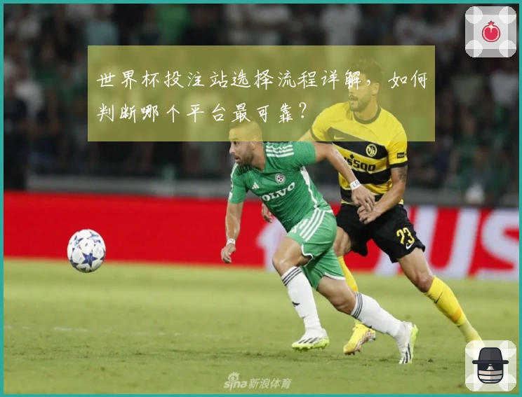 世界杯投注站选择流程详解，如何判断哪个平台最可靠？