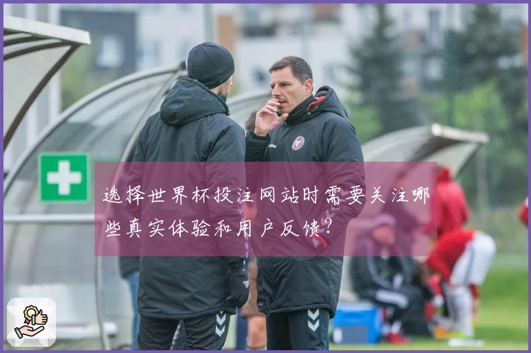 选择世界杯投注网站时需要关注哪些真实体验和用户反馈？