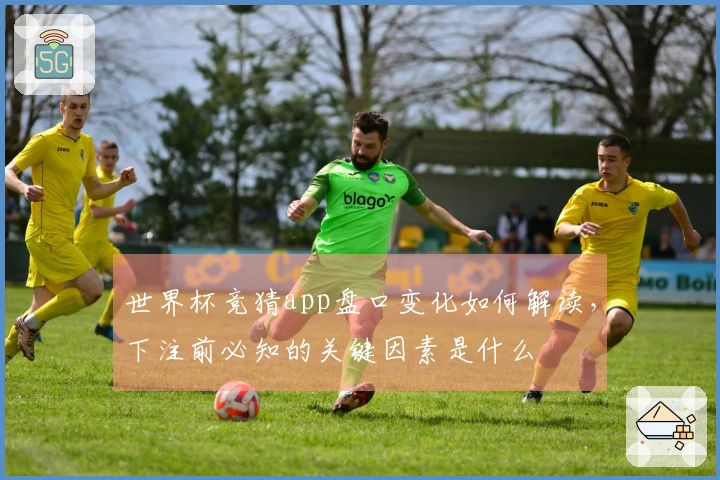 世界杯竞猜app盘口变化如何解读，下注前必知的关键因素是什么